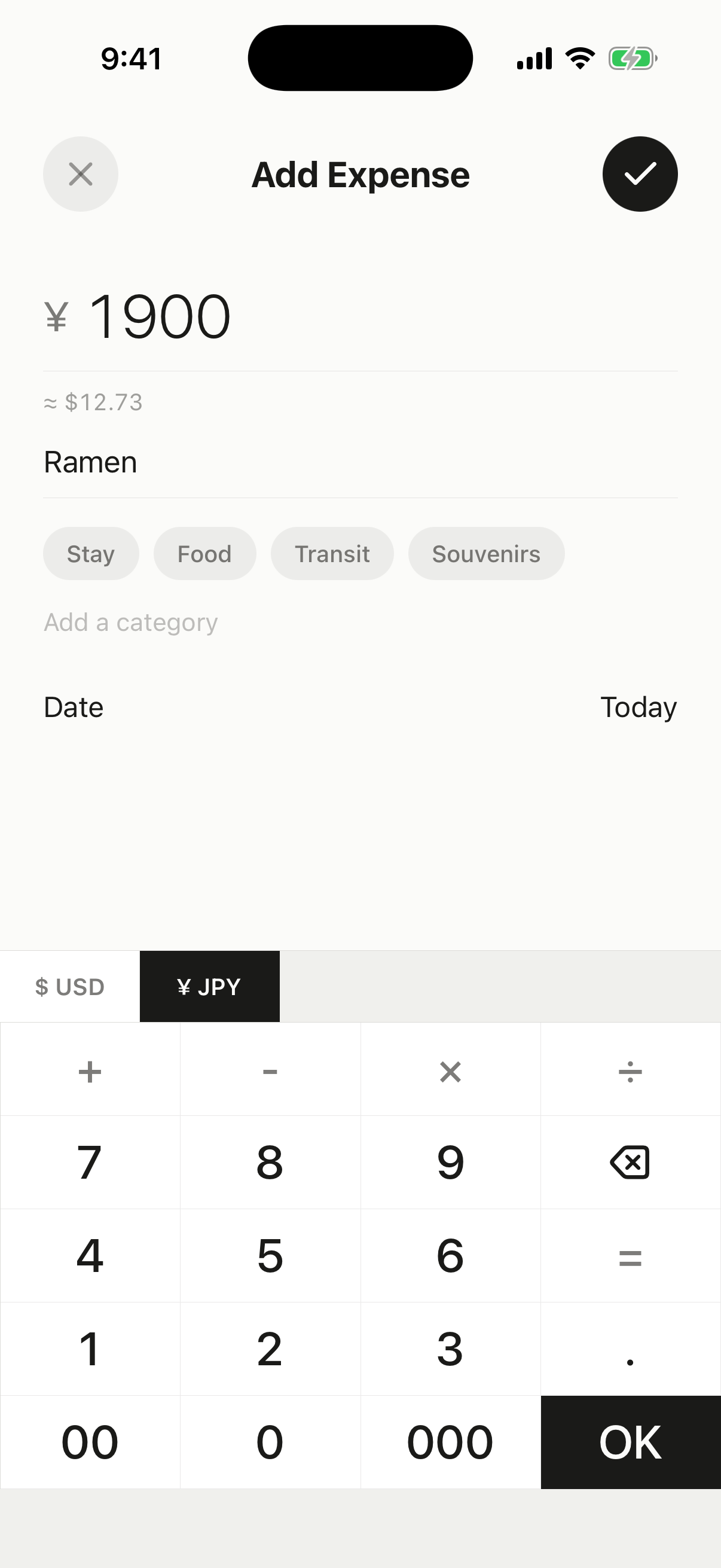 Logging an expense in the app